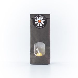 Crystal Lemoncello